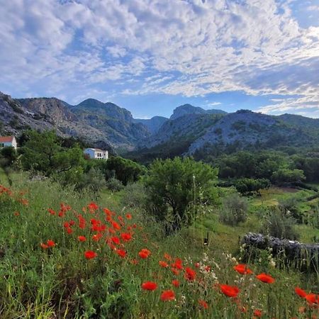Apartments Paklenica Starigrad Paklenica Extérieur photo