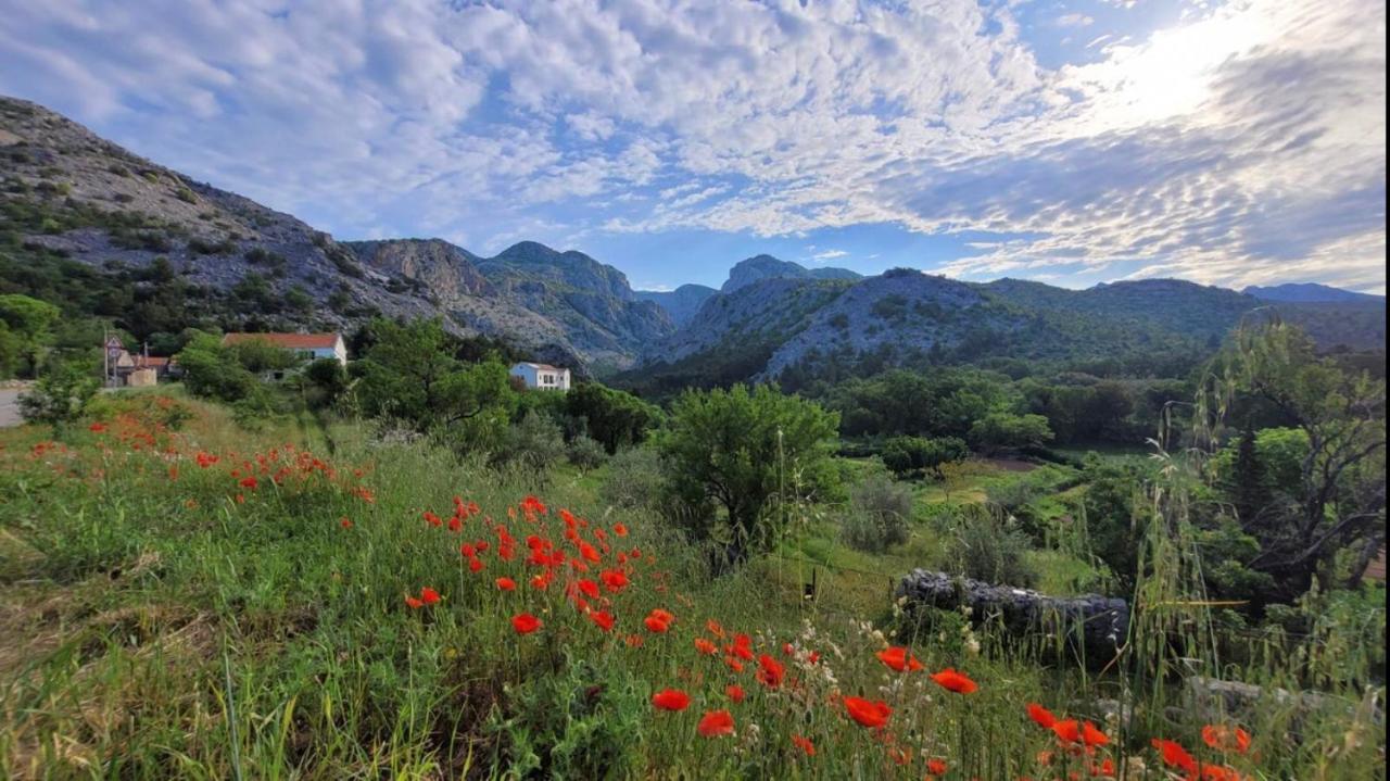 Apartments Paklenica Starigrad Paklenica Extérieur photo