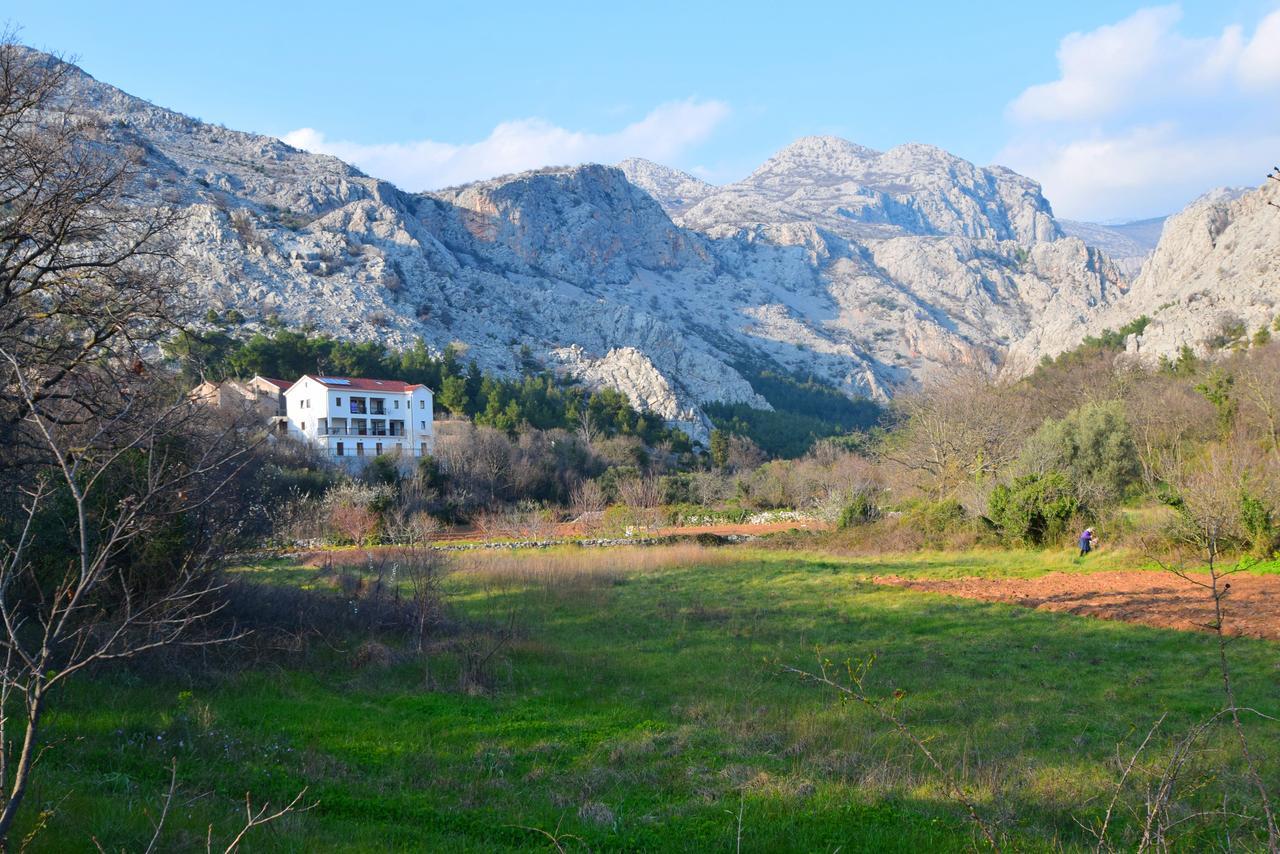 Apartments Paklenica Starigrad Paklenica Extérieur photo